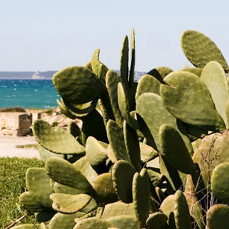 Il Corallo * Gallipoli