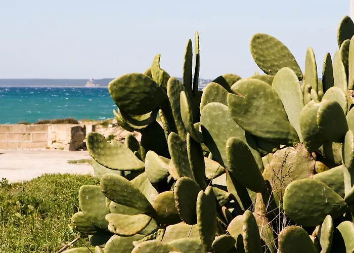 Il Corallo * Gallipoli