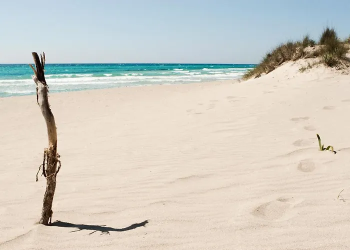 Il Corallo Διαμέρισμα Gallipoli